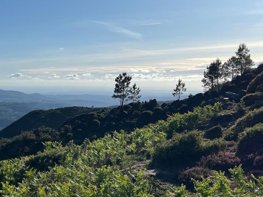Casinha Do Sol - Natureza & Lazer - Serra Da Freita Arouca Luaran gambar